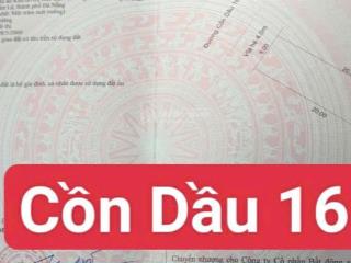 Bán 1 cặp đất đường cồn dầu 16, khu đô thị hòa xuân