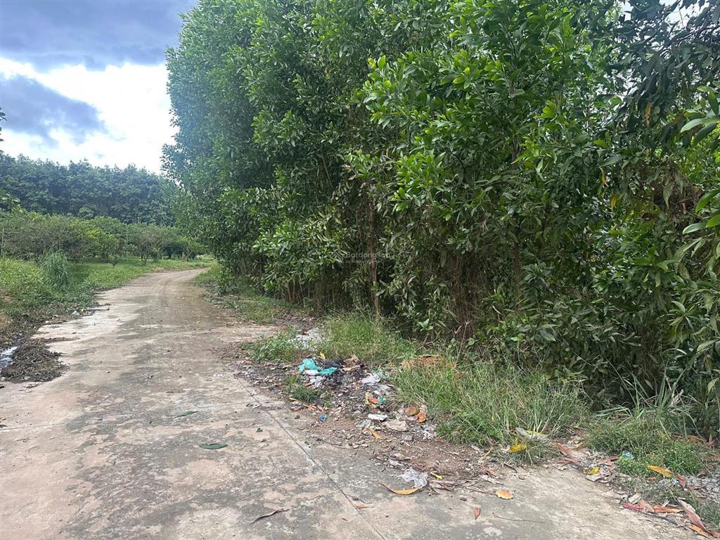 Bán hơn 1000m2 đất phường trị an, thành phố đồng nai mặt tiền 33m