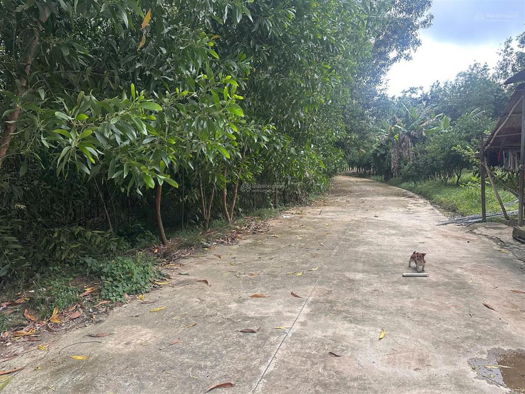 Bán hơn 1000m2 đất phường trị an, thành phố đồng nai mặt tiền 33m