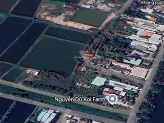 Bán đất ruộng tại xã bình lợi, huyện bình chánh, tp. hồ chí minh. diện tích 4033m2 giá 6 tỷ