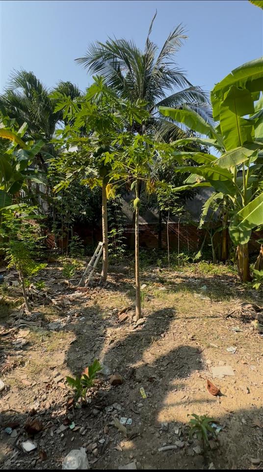 577m2 đất nhà vườn đường 2/4 gần biển nha trang chỉ 2.6 tỷ