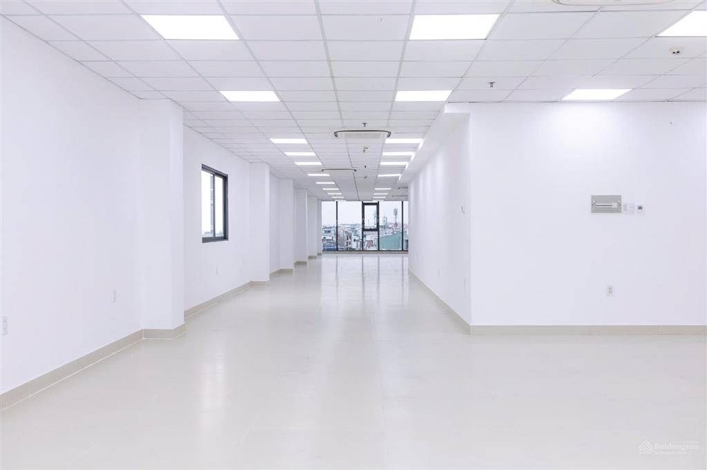 Cho thuê văn phòng tại tòa nhà 481 cộng hòa, 81,62 triệu vnd, 220m2