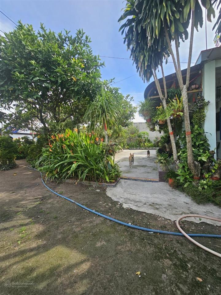 Giảm 4,5 tỷ gấp bán đất 2.700m2 2 mặt tiền bùi thị điệt, củ chi