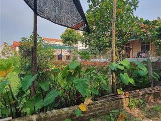 Đỉnh nóc cát quế  trong đê  ô tô vào đất  chỉ 3,65 tỷ có tl (giá bán nhanh  chủ ngộp)