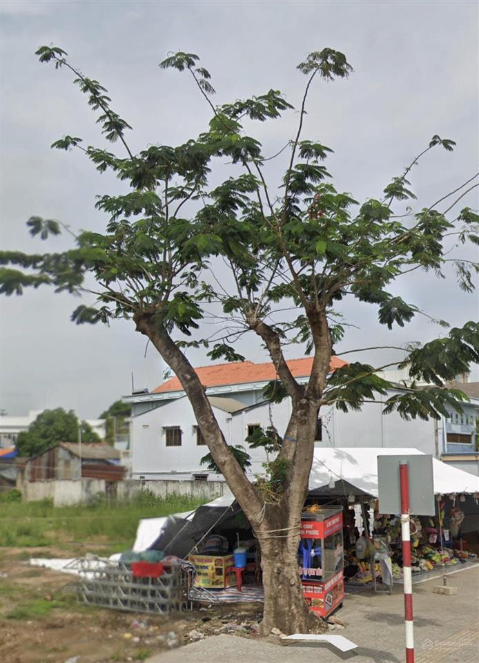 Bán đất 15000m2 tại tỉnh lộ 929, 22 tỷ vnd