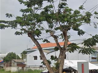 Bán đất mạc đĩnh chi, 65 tỷ, 1600m2, hàng hot, giá cực chất tại p9, sóc trăng