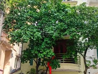 Cần bán gấp nhà ngọc khánh ba đình, hà nội, 74m2 mặt tiền 7,5m ô tô đỗ cửa