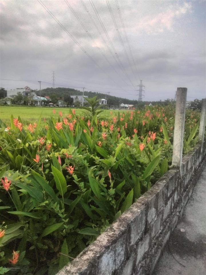 Chính chủ bán đất khương mỹ xã hoà vang .148,6 m2. có hoa hồng cho dịch vụ.