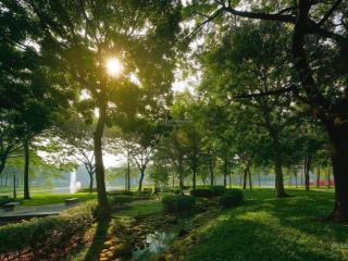 Diamond centery 121m2 nhận nhà ở ngay lịch thanh toán siêu giãn trong 36 tháng, view công viên