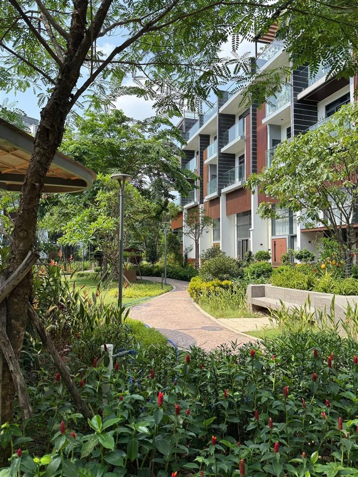 Căn glen giá tốt nhất giỏ cđt trả 3 năm k lãi suất.ck nhanh 29%.  sale cđt gamuda