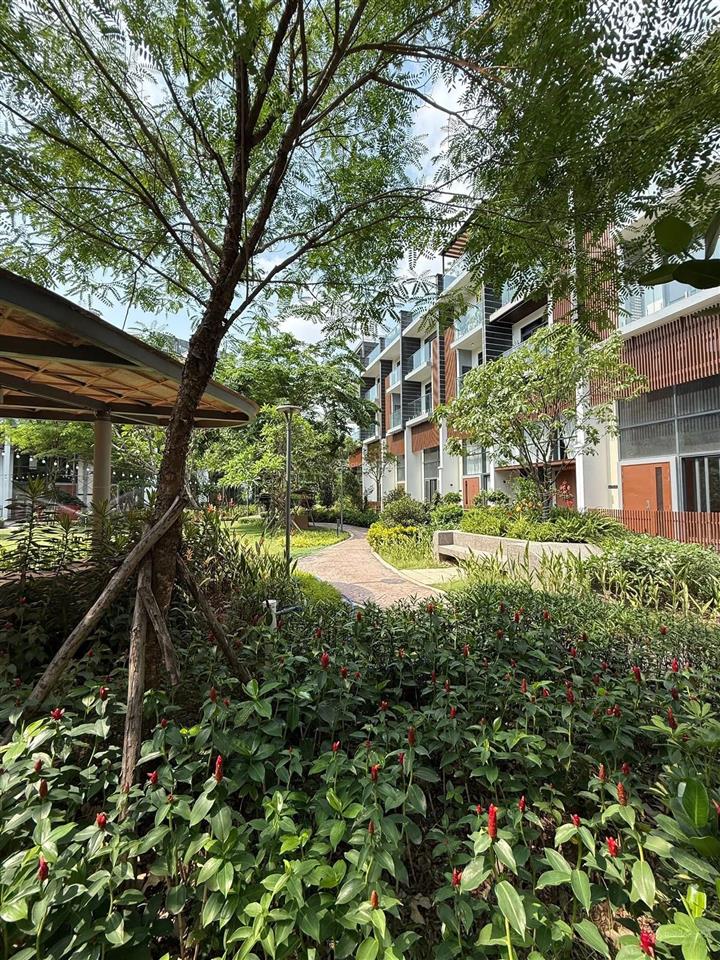 Căn glen giá tốt nhất giỏ cđt trả 3 năm k lãi suất.ck nhanh 29%.  sale cđt gamuda