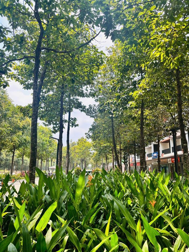 (sales cđt với kinh nghiệm 9 năm)  shophouse artisan park mua trực tiếp cđt trả giãn 5 năm ls 0%