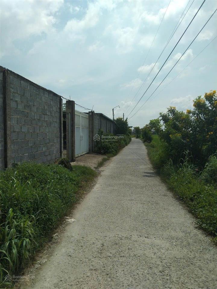 Giá bán 12,5 tỷ 2800m² lạc tấn, tân trụ, long an (địa chỉ mới thuộc xã nhựt tảo, tây ninh)