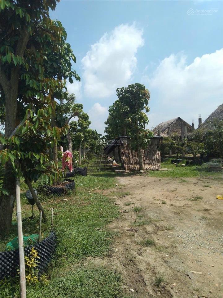Giá bán 12,5 tỷ 2800m² lạc tấn, tân trụ, long an (địa chỉ mới thuộc xã nhựt tảo, tây ninh)