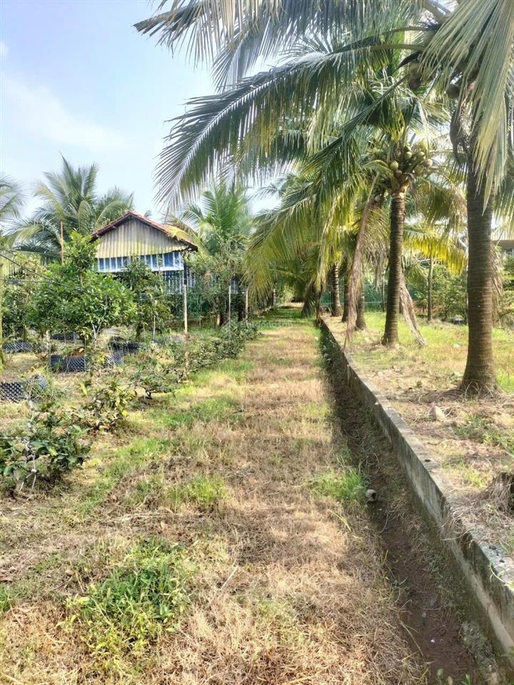 Giá bán 26.5 tỷ  4685m2 đất tại kinh dương vương, nhơn trạch, đồng nai (xã phước an)