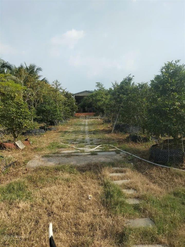 Giá bán 26.5 tỷ  4685m2 đất tại kinh dương vương, nhơn trạch, đồng nai (xã phước an)