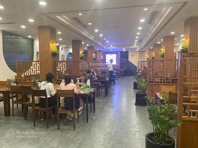 Siêu phẩm mạc đĩnh chi, q1  khuôn viên lớn hiếm có