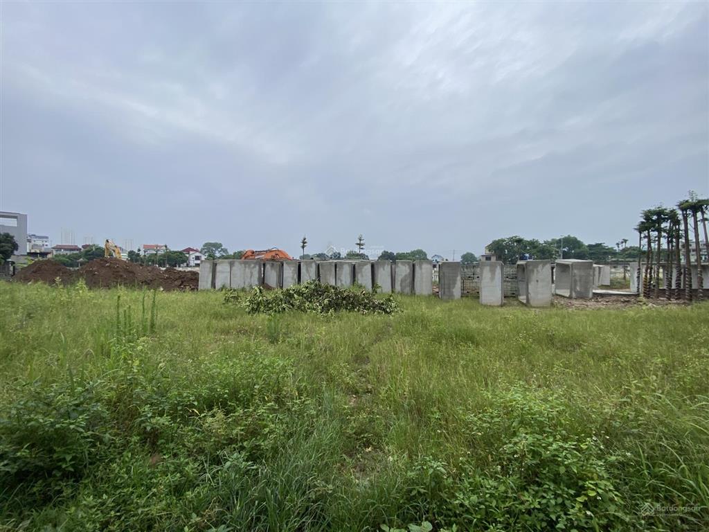Bán lô đất đẹp ngay vin cổ loa, 55m, nở hậu, ngõ thông, ô tô vào đất