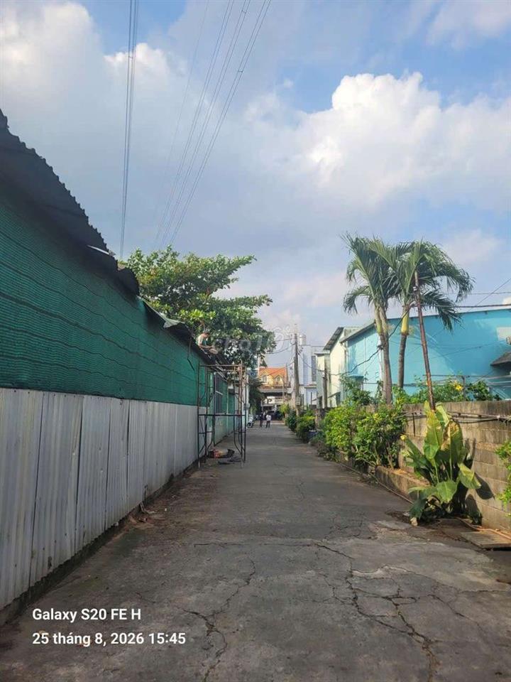 cần cho thuê kho xưởng đương PVH .Bà Điểm.DT 31 x31 sử dựng.1000m.