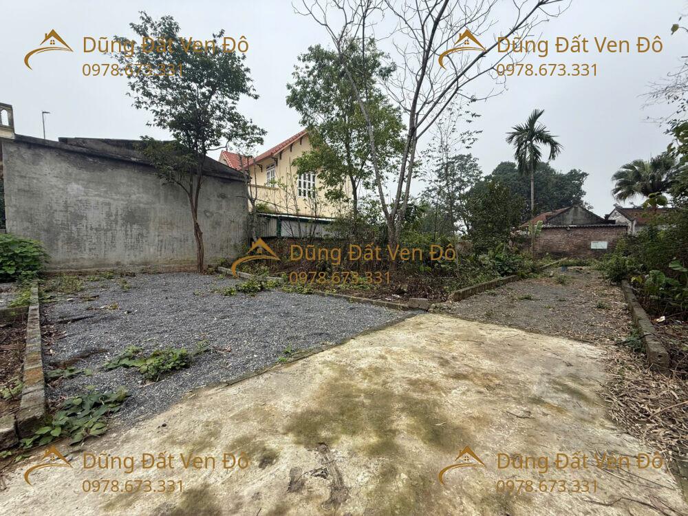55,6M THANH BÌNH-CHƯƠNG MỸ-HÀ NỘI
