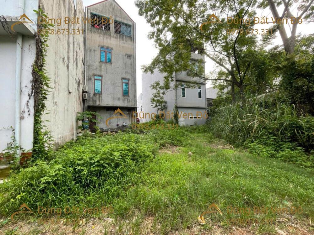 LÔ 115,9M ĐẤU GIÁ TRƯỜNG YÊN-CHƯƠNG MỸ-HÀ NỘI