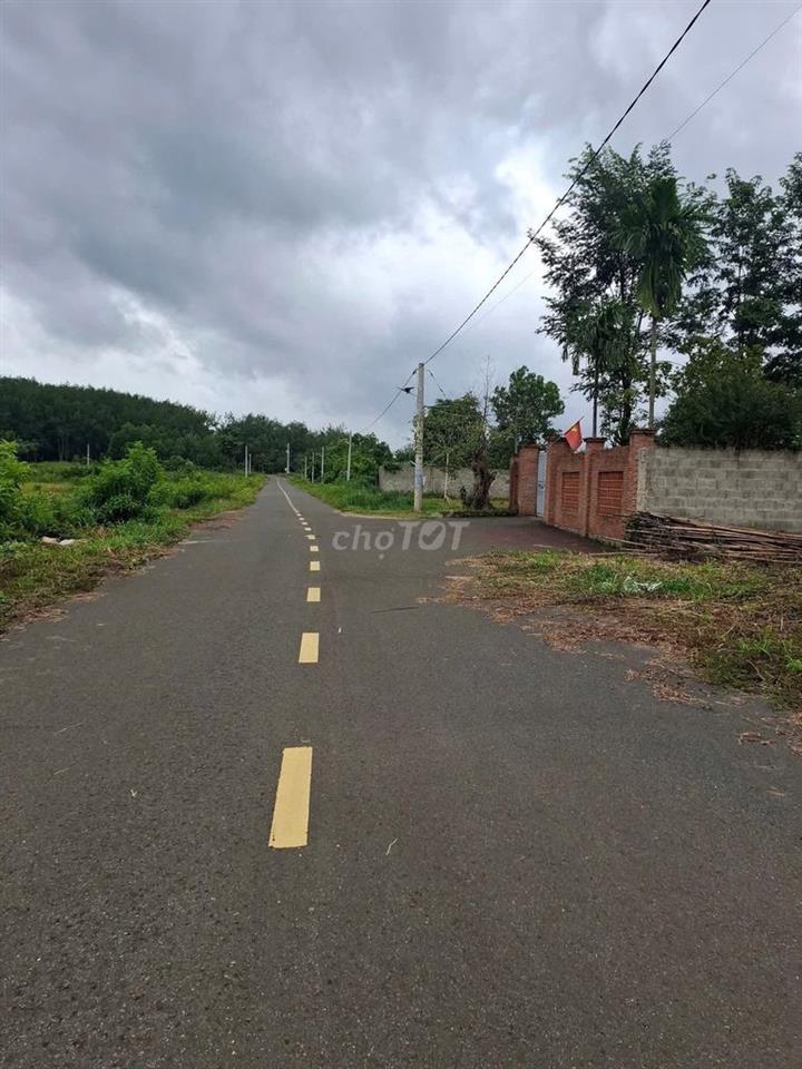 1300m2 sát đường DT753 đi sân bay Long Thành mà chỉ 115 Tr TP Đồng Nai