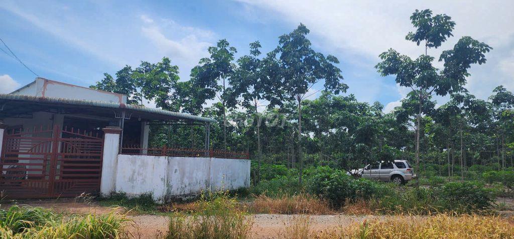 1200 m2 có 160m2 thổ cư tại Phường Đồng Phú, TP Đồng Nai 650 tr còn tl