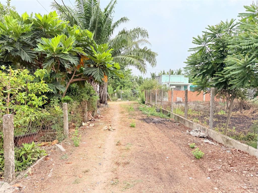 Chính chủ bán đất 2011m2 dương minh châu, tây ninh