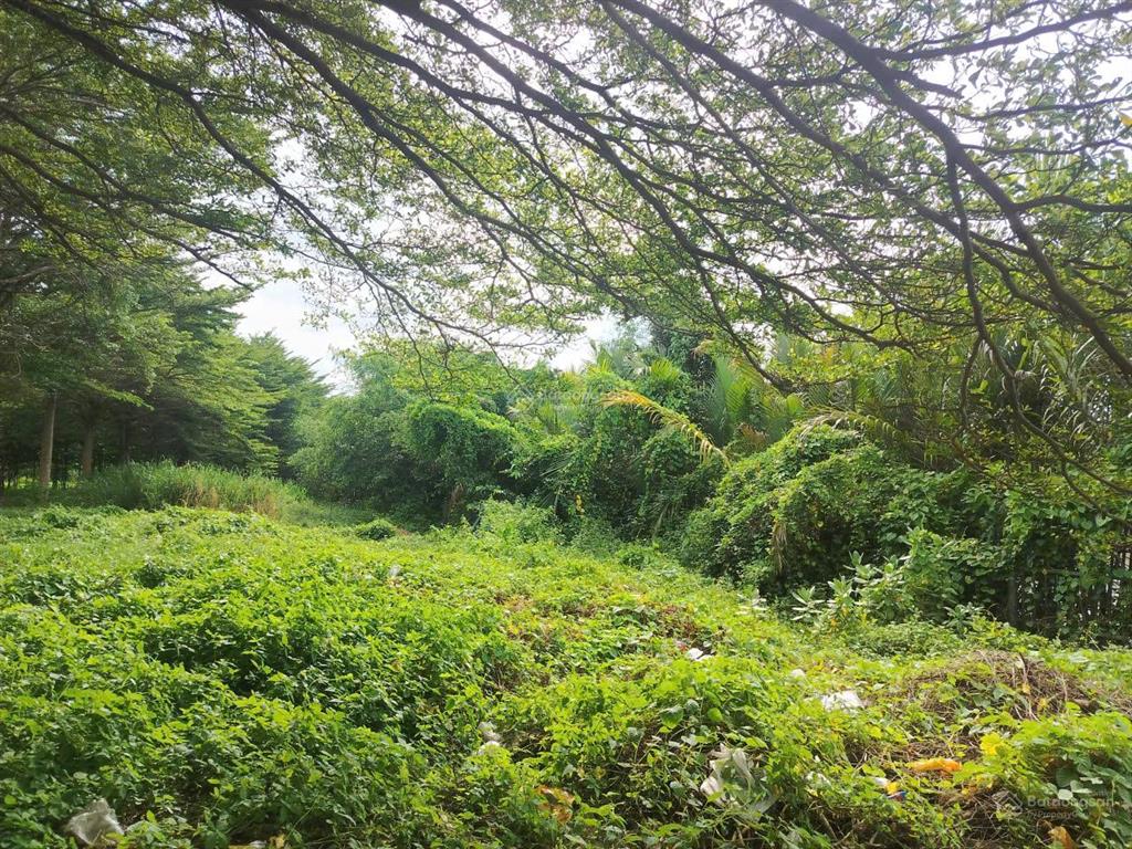 Bán đất đường võ thị sáu, xã đại phước, đồng nai  huyện nhơn trạch, đồng nai cũ