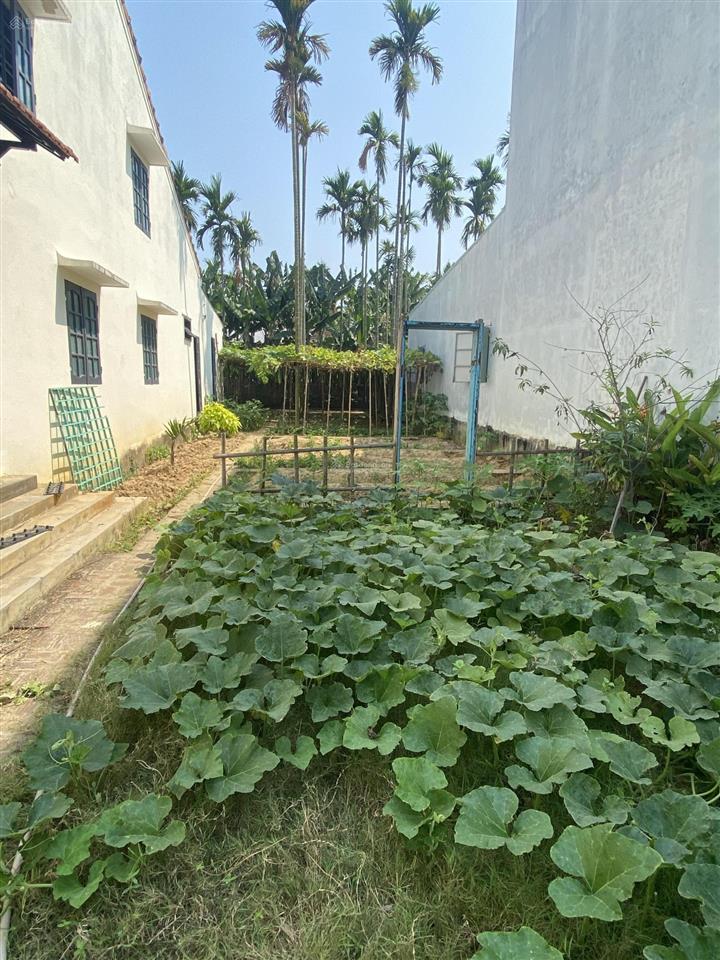 Bán nhà riêng đẹp tại kim bồng tây