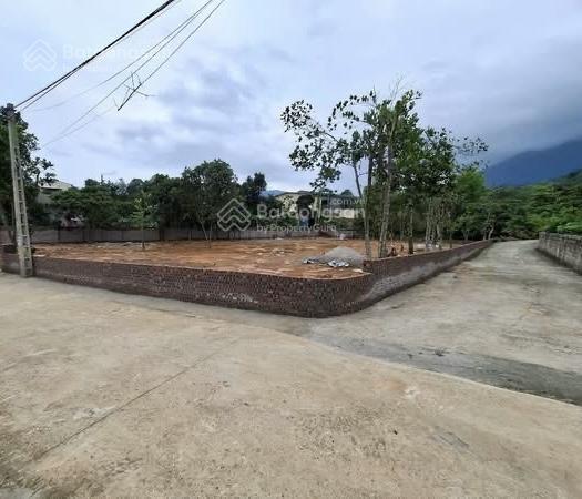 Cần chuyển nhượng 558m2 trong đó có 150m2 thổ cư tại yên bài
