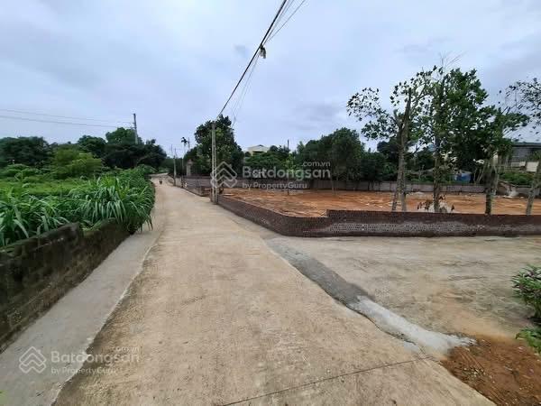 Cần chuyển nhượng 558m2 trong đó có 150m2 thổ cư tại yên bài