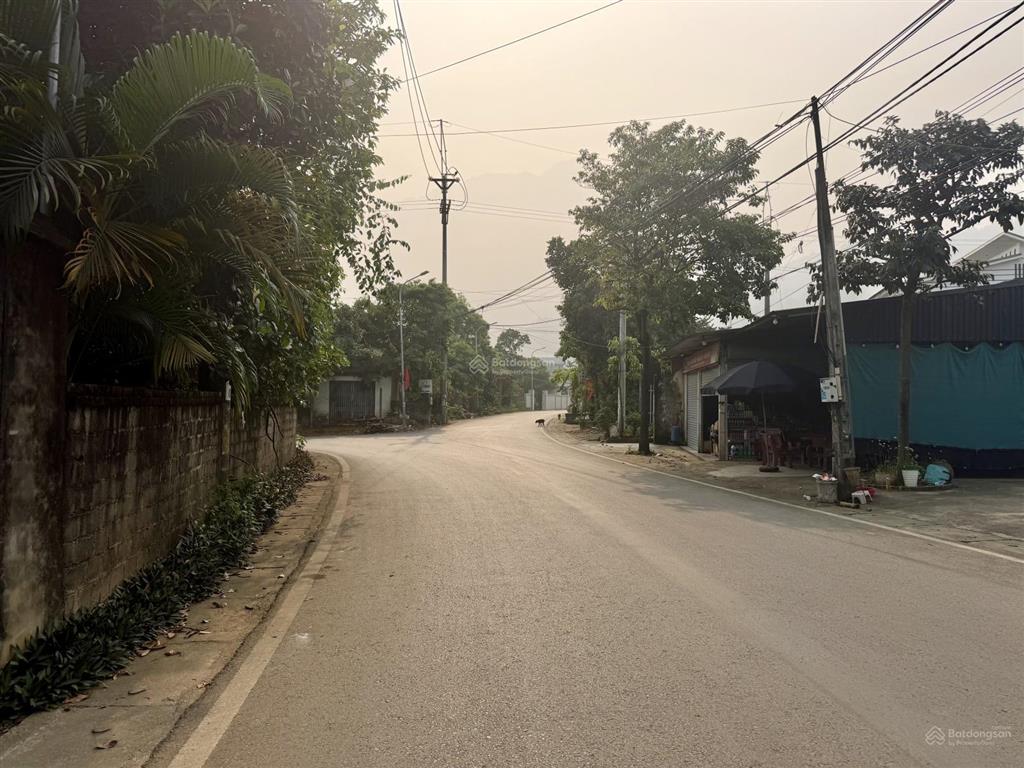 Hàng hiếm!cần chuyển nhượng 15m mặt tiền trục chính yên bài(van hoà cũ)dt 723m trong đó có 100tc