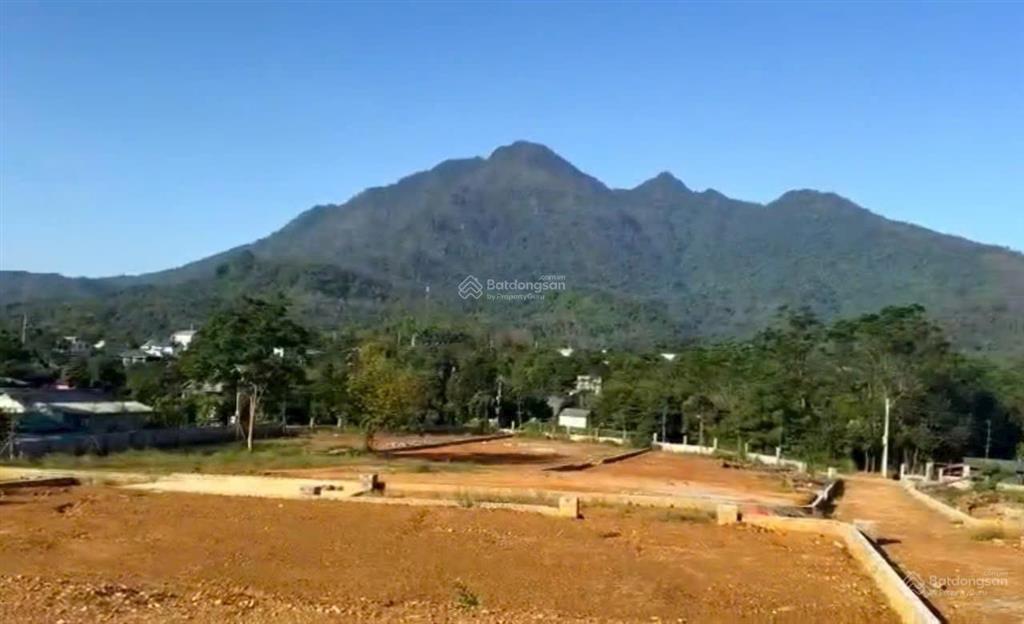 Chính chủ cần chuyển nhượng 315m trong đó có 150tc tại yên bài hà nội