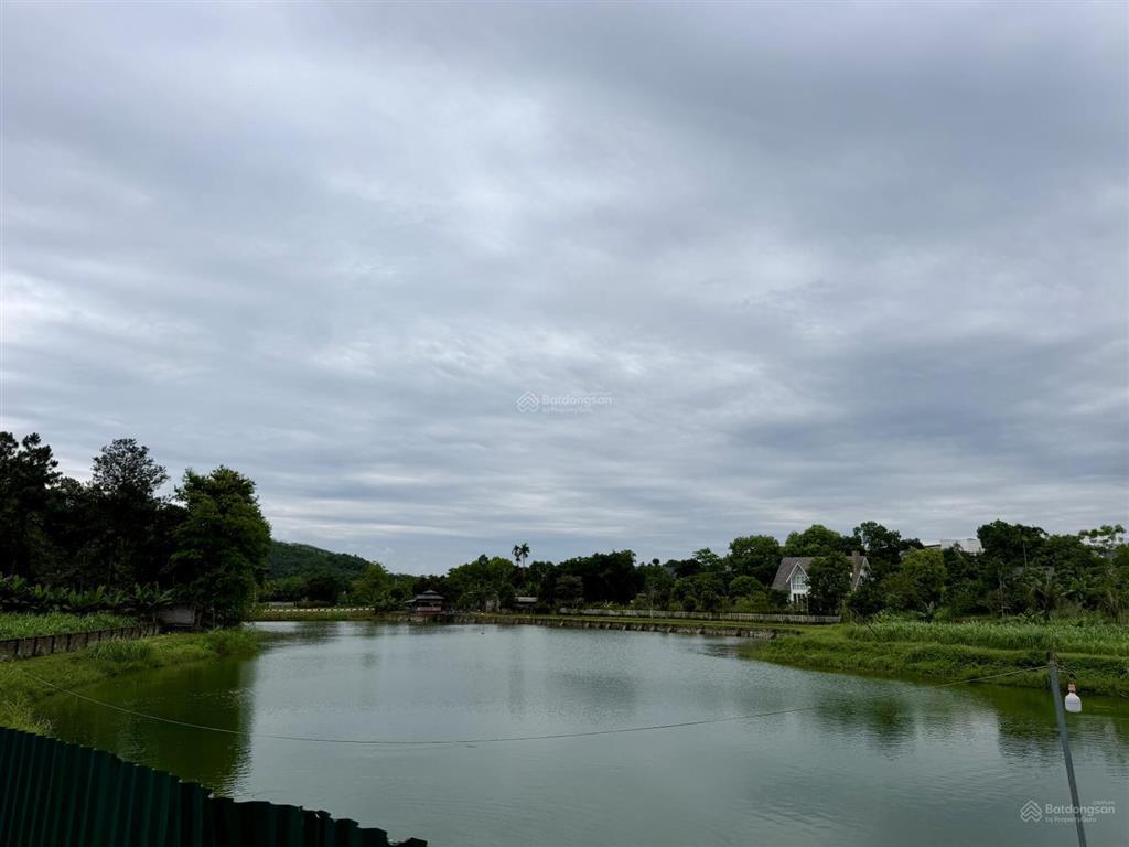 Cần chuyển nhượng 4677m trong đó có 800m tc tại yên bài