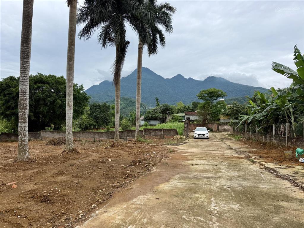 Cần chuyển nhượng 4677m trong đó có 800m tc tại yên bài