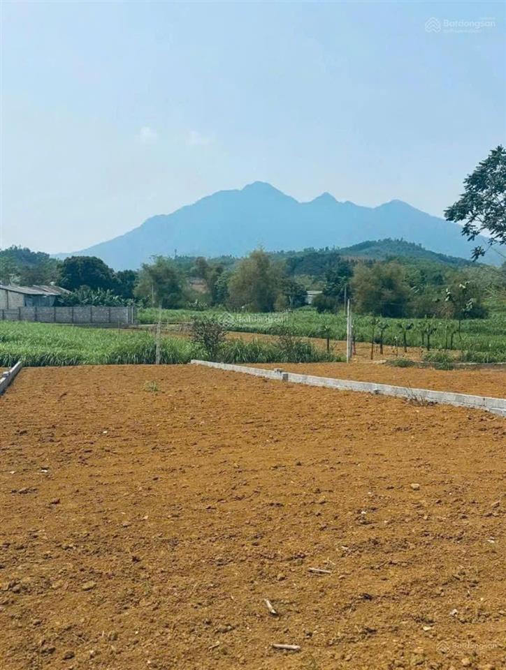 Cần chuyển nhượng 262m2 trong đó có 75m2 thổ cư tại yên bài