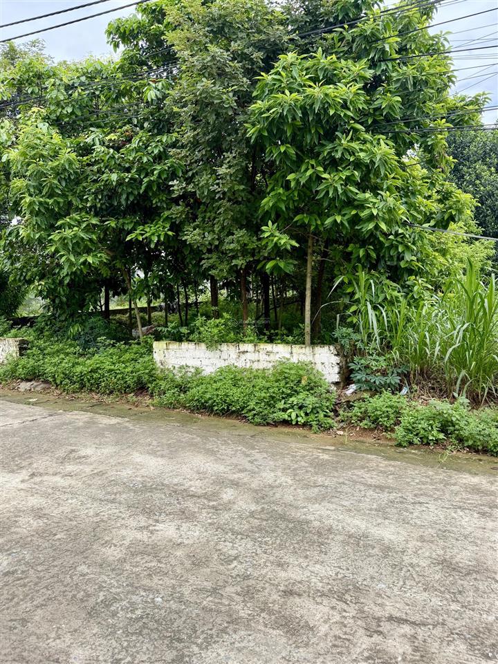 Chính chủ cần chuyển nhượng 8m mặt tiền trục chính yên bài với dt 275m có 100tc