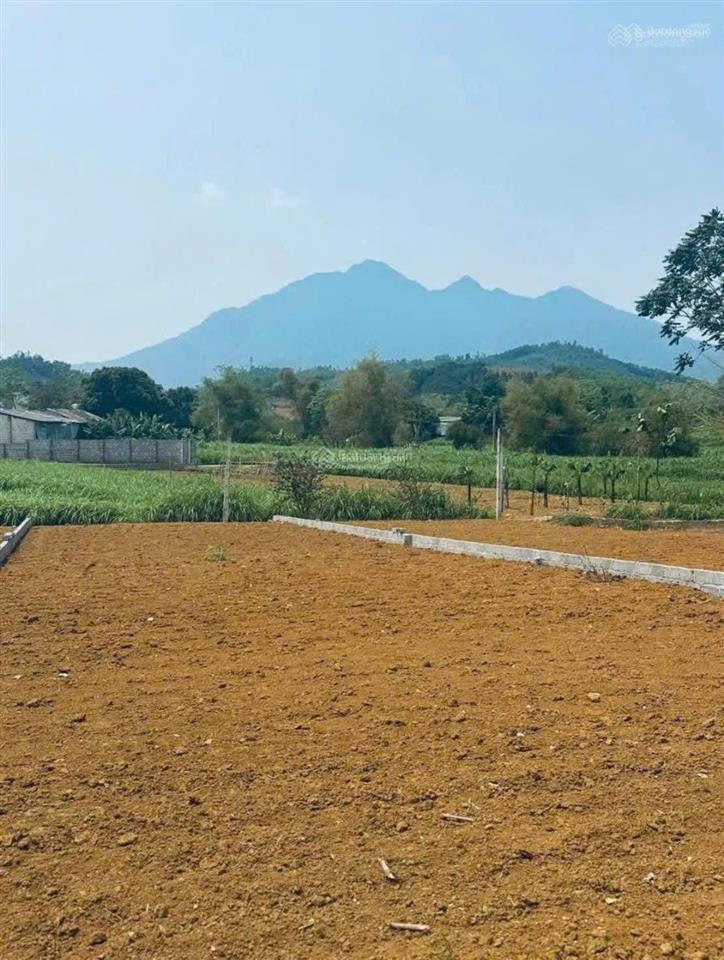 Cần chuyển nhượng 262m2 trong đó có 75m2 thổ cư tại yên bài