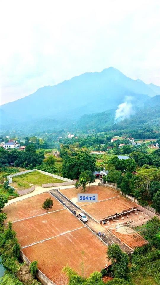 Cần chuyển nhượng lô góc 3 mặt tiền với dt 564m2 thực tế 611m2 có 150m2tc tại yên bài