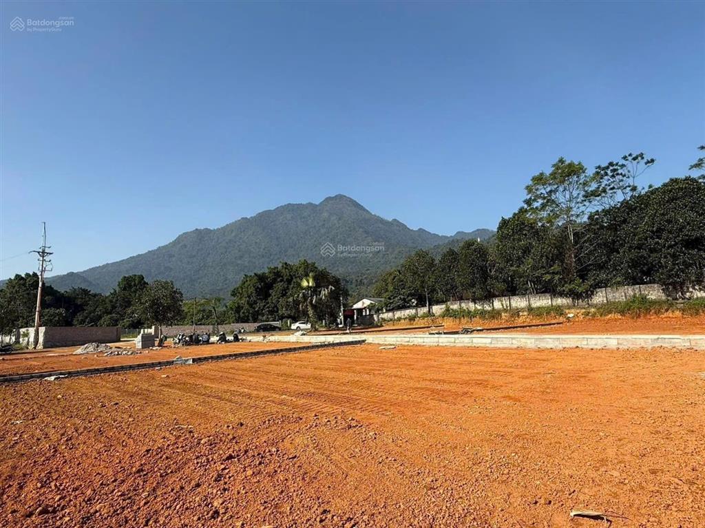 Cần chuyển nhượng lô góc 3 mặt tiền với dt 564m2 thực tế 611m2 có 150m2tc tại yên bài