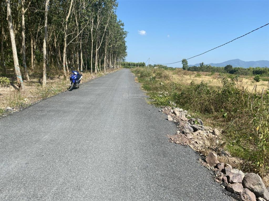 Đất lô 1000m vuông (10 m x 100m). khu dân cư điện nước đầy đủ