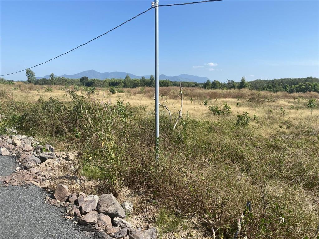 Đất lô 1000m vuông (10 m x 100m). khu dân cư điện nước đầy đủ