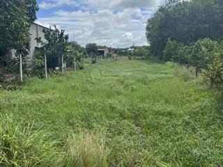 Ngay trung tâm củ chi tp.hcm. dt 1160m2 giá 1tỷ250tr sổ hồng riêng, pháp lý rõ ràng minh bạch