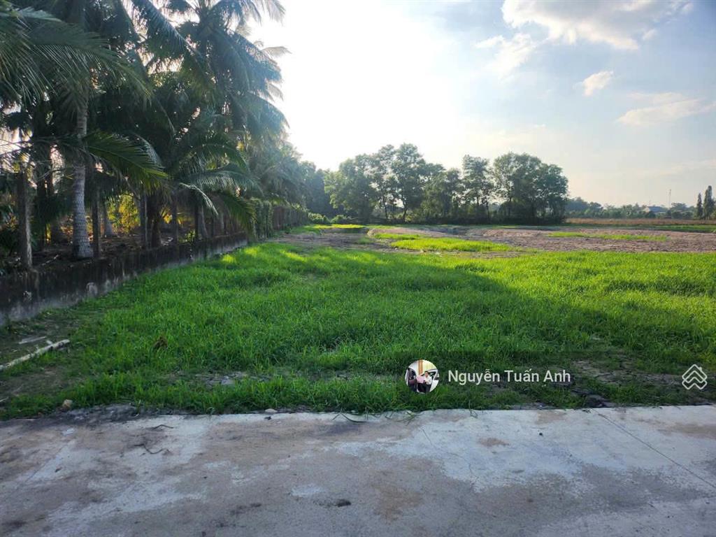 Gần sát bên chợ trường học bán lô đất dt 1145m2, giá 1tỷ2, sổ hồng riêng tha hồ thiết kế nhà vườn