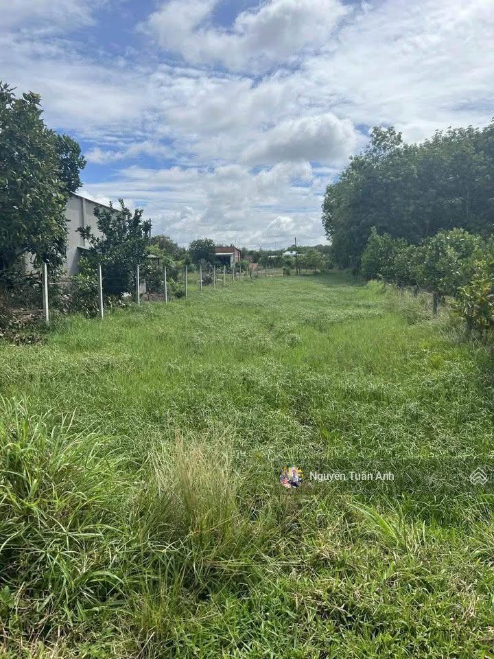 Cần bán lô đất vườn ở củ chi, tp hcm với dt 1160m2 giá bán 1tỷ650tr sổ hồng riêng