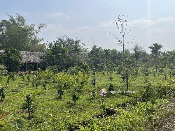 Cần bán lô đất vườn ở củ chi, tp hcm với dt 1160m2 giá bán 1tỷ650tr sổ hồng riêng