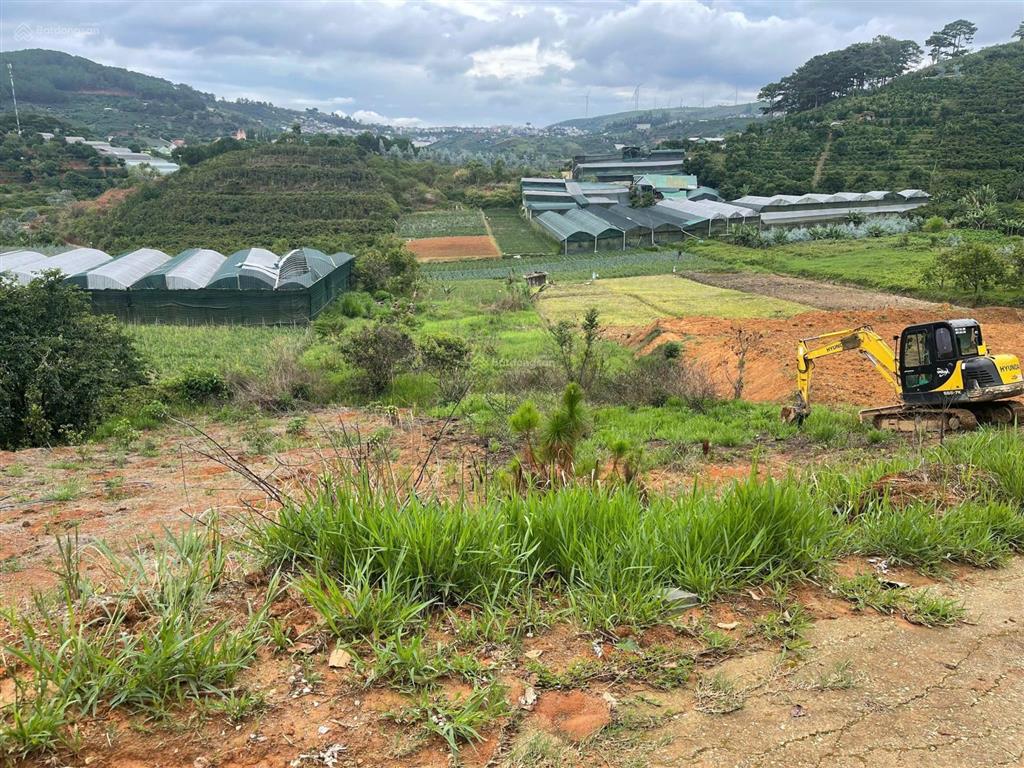 Bán đất tại xuân trường, đà lạt, 2,6 tỷ, 1240 m2, giá siêu hời, uy tín