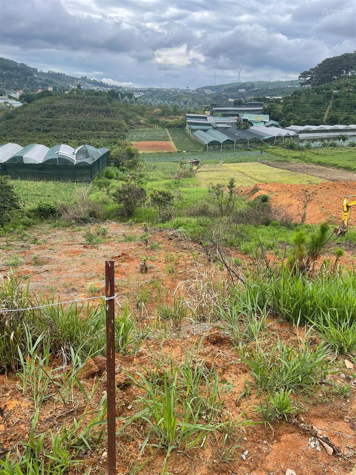 Bán đất tại xuân trường, đà lạt, 2,6 tỷ, 1240 m2, giá siêu hời, uy tín