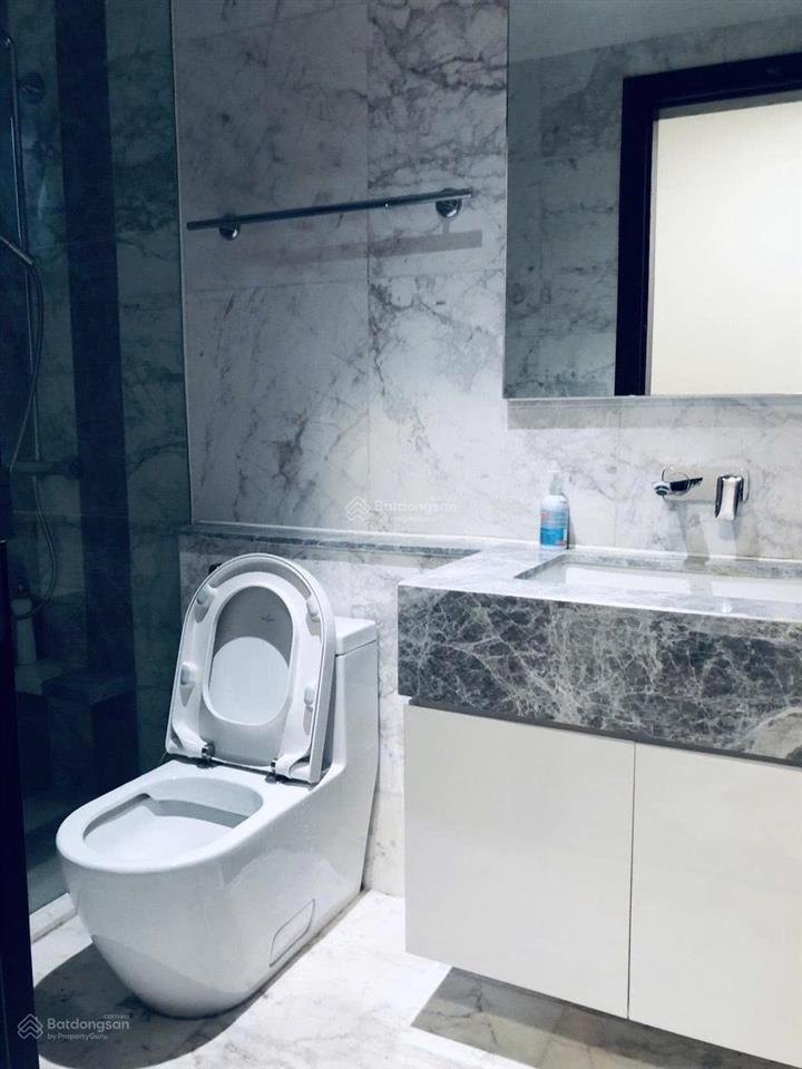 Căn hộ d1 mension quận 1, sổ hồng, có dòng tiền ổn định